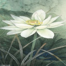 Kho Tranh Gạch 3D in Theo Yêu Cầu Tại Thủ Đức Uy Tín