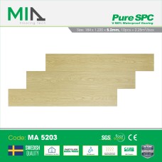 Đơn Vị Cung Cấp Và Thi Công Sàn Nhựa Tại Tân Phú Thủ Đức