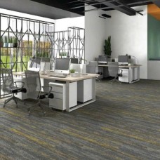 Thi công thảm văn phòng tại Biên Hòa