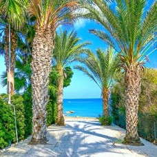 Tranh Dán Tường 3D UV Giá Rẻ Nhất Tại An Khánh - Quận 2