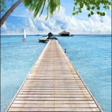 Tranh Dán Tường 3D UV Giá Rẻ Nhất Tại Thạnh Mỹ Lợi - Thủ Đức