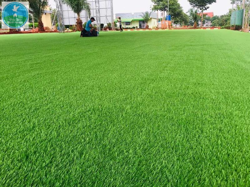 Thảm cỏ ứng dụng linh hoạt trong nhiều khu vực Thảm cỏ ứng dụng linh hoạt trong nhiều khu vực