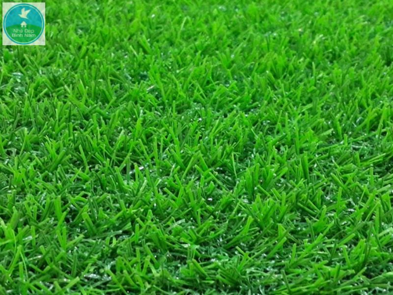 Thảm cỏ ứng dụng linh hoạt trong nhiều khu vực Thảm cỏ ứng dụng linh hoạt trong nhiều khu vực