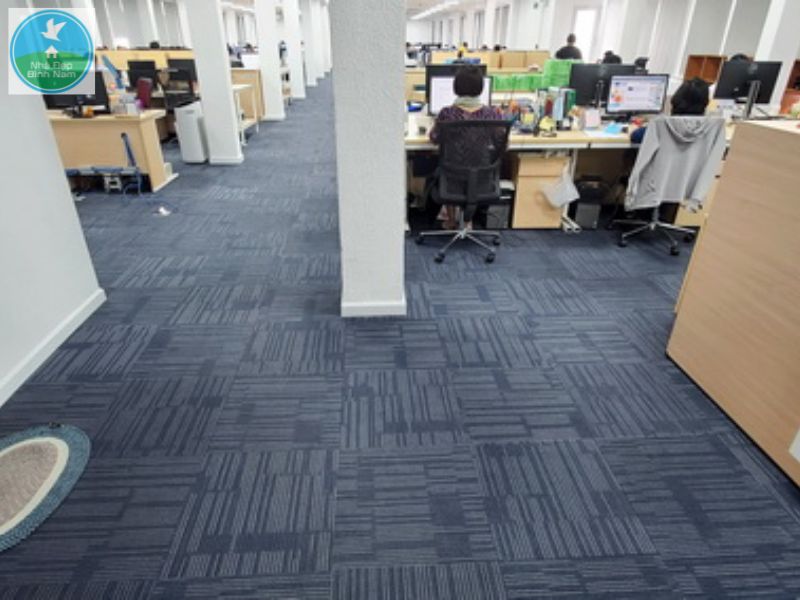 Thảm nỉ văn phòng Thảm nỉ văn phòng