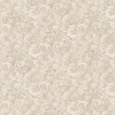 Thi Công Giấy Dán Tường Hàn Quốc Tại Hiệp Bình Chánh - Linh Chiểu Thủ Đức