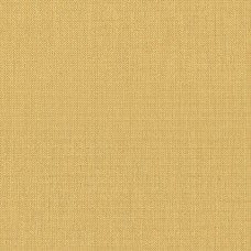 Giấy Dán Tường Trơn Tại Quận 9