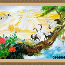 Nhận Cung Cấp Và Thi Công Tranh 3D 5D Tại An Phú Thủ Đức