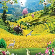 Nhận Cung Cấp Và Thi Công Tranh 3D 5D Tại Linh Xuân Thủ Đức