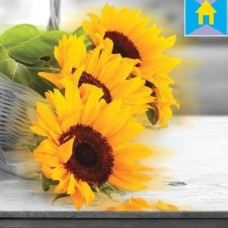 Nhận Cung Cấp Và Thi Công Tranh 3D 5D Tại Long Phước Thủ Đức
