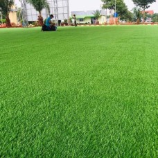 Nơi bán thảm cỏ nhân tạo tại phường Diên Hồng
