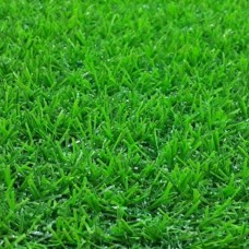Nơi bán thảm cỏ nhân tạo tại phường Tân Sơn Nhì