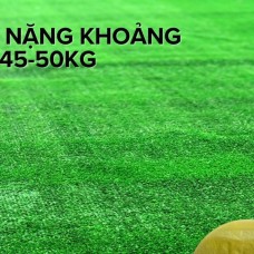 Thảm cỏ nhân tạo giá rẻ tại Biên Hòa