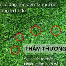Thảm cỏ nhân tạo giá rẻ tại phường Đông Hòa