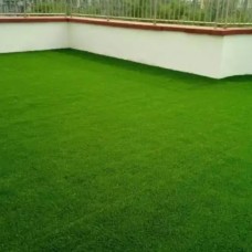 Thảm cỏ sân vườn giá rẻ tại Làng Đại Học