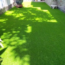 Thảm cỏ sân vườn giá rẻ tại phường Tân Sơn Nhì