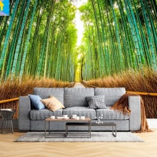 THI CÔNG TRANH DÁN TƯỜNG UY TÍN GIÁ RẺ TẠI TAM BÌNH  THỦ ĐỨC