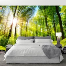 Tranh 3D-5D dán tường giá tốt tại Đông Hòa