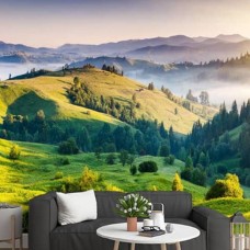 Tranh 3D-5D dán tường giá tốt tại Tân Sơn Nhất