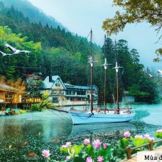 Tranh Dán Tường 3D Thủ Đức